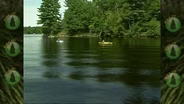 Park It! Celebrating Our Region's Finest Parks