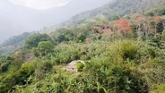 Colombia’s Guardians of the Homelands
