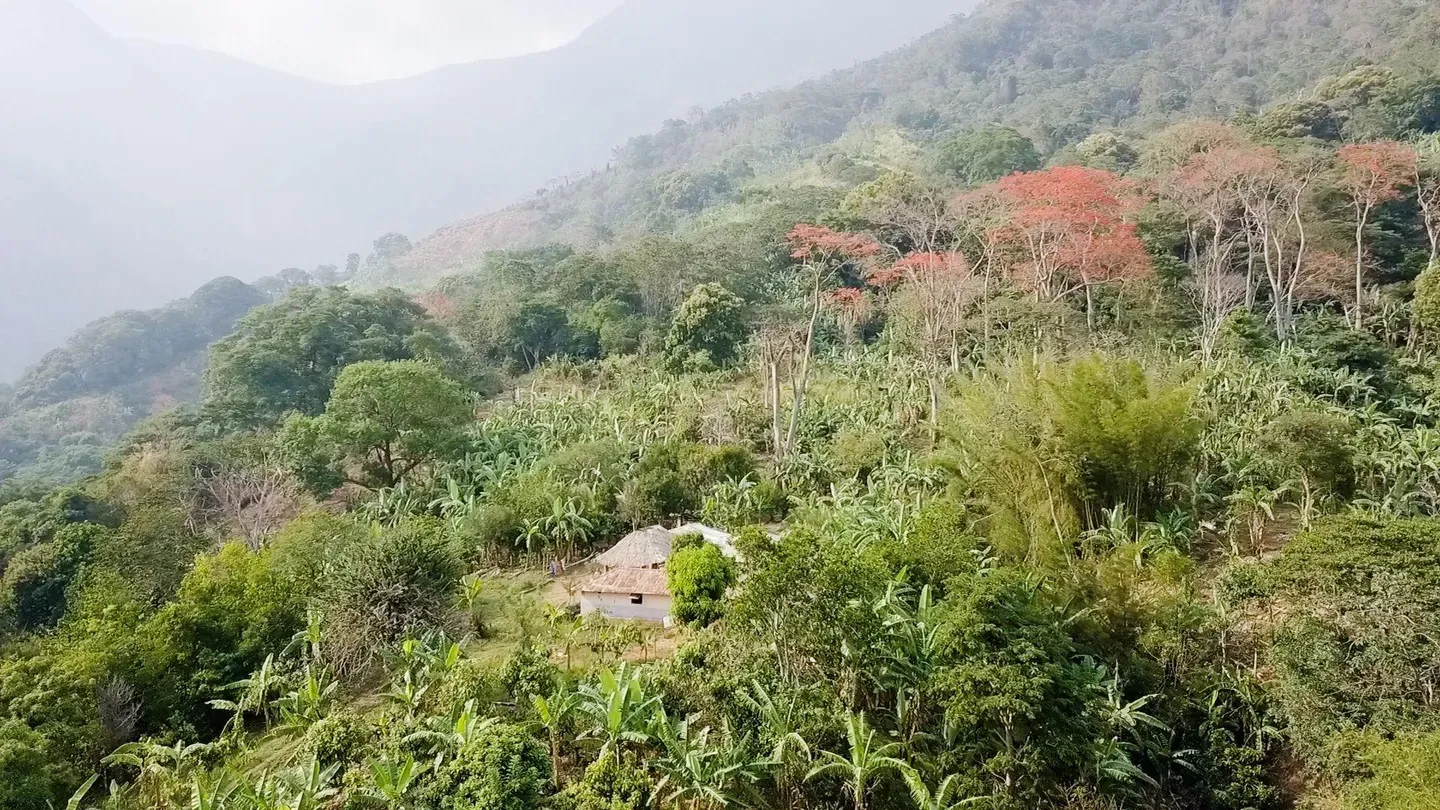 Colombia’s Guardians of the Homelands