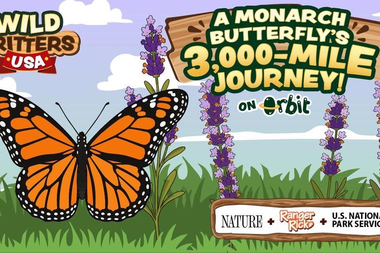 A Monarch Butterfly’s 3,000-Mile Journey | Wild Critters USA Poster