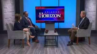 SNAP Help, Valleywise Prop 409, Desert Botanical Garden's Frame Rate Exhibition