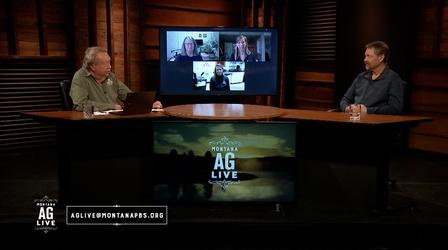 Video thumbnail: Montana Ag Live Montana Canola Producers