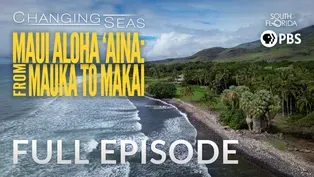 Maui Aloha ‘Āina: From Mauka to Makai