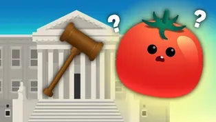 What Are Plants Made Of?