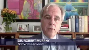 Infectious Disease Expert Rips National Response to Pandemic