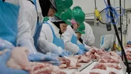 The Fate of a Slaughterhouse