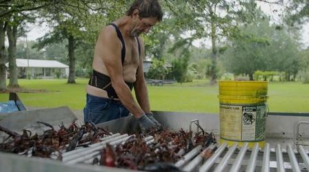 Video thumbnail: REEL SOUTH The Basin