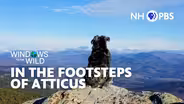 In the Footsteps of Atticus