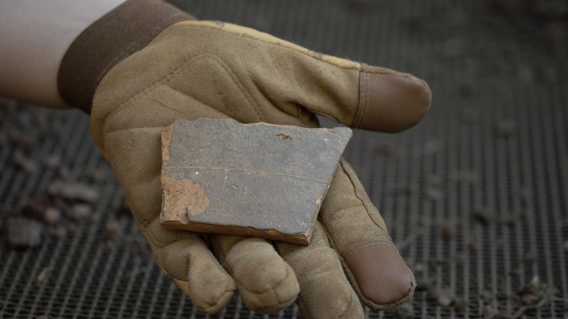 Amateur astronomers, an archaeological dig in Old Salem and how DNA can help with cancer treatments.