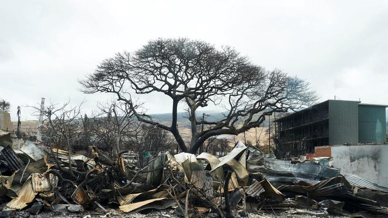 PBS NewsHour Image