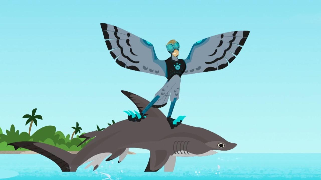 Wild Kratts Hammerheads | On Alabama Public Television