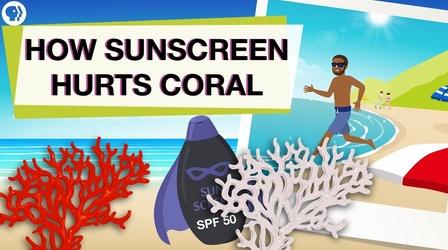 Video thumbnail: Above The Noise Is Your Sunscreen Hurting Coral Reefs?