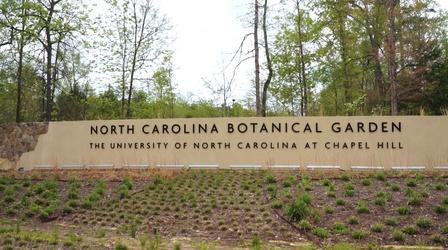 Video thumbnail: North Carolina Weekend North Carolina Botanical Garden