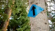 On patrol with Cameron Pass nordic ranger, Sean Chapin