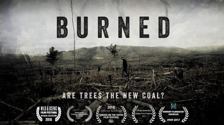 Video thumbnail: Made Here BURNED: Are Trees the New Coal?