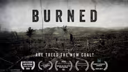 BURNED: Are Trees the New Coal?