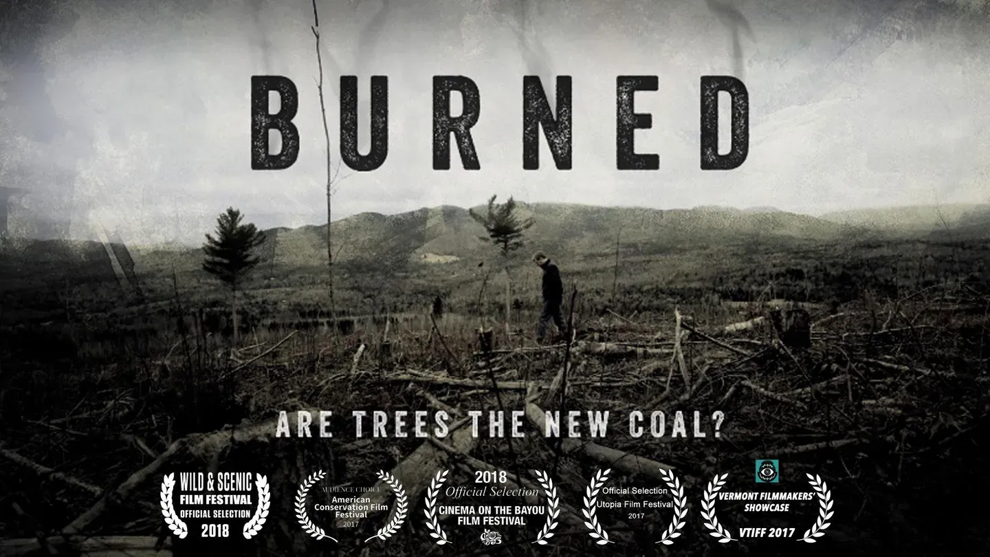 BURNED: Are Trees the New Coal?