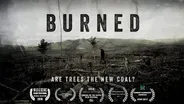 BURNED: Are Trees the New Coal?
