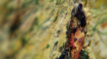 Video thumbnail: Gallery Cici and Hyatt Brown Museum of Art