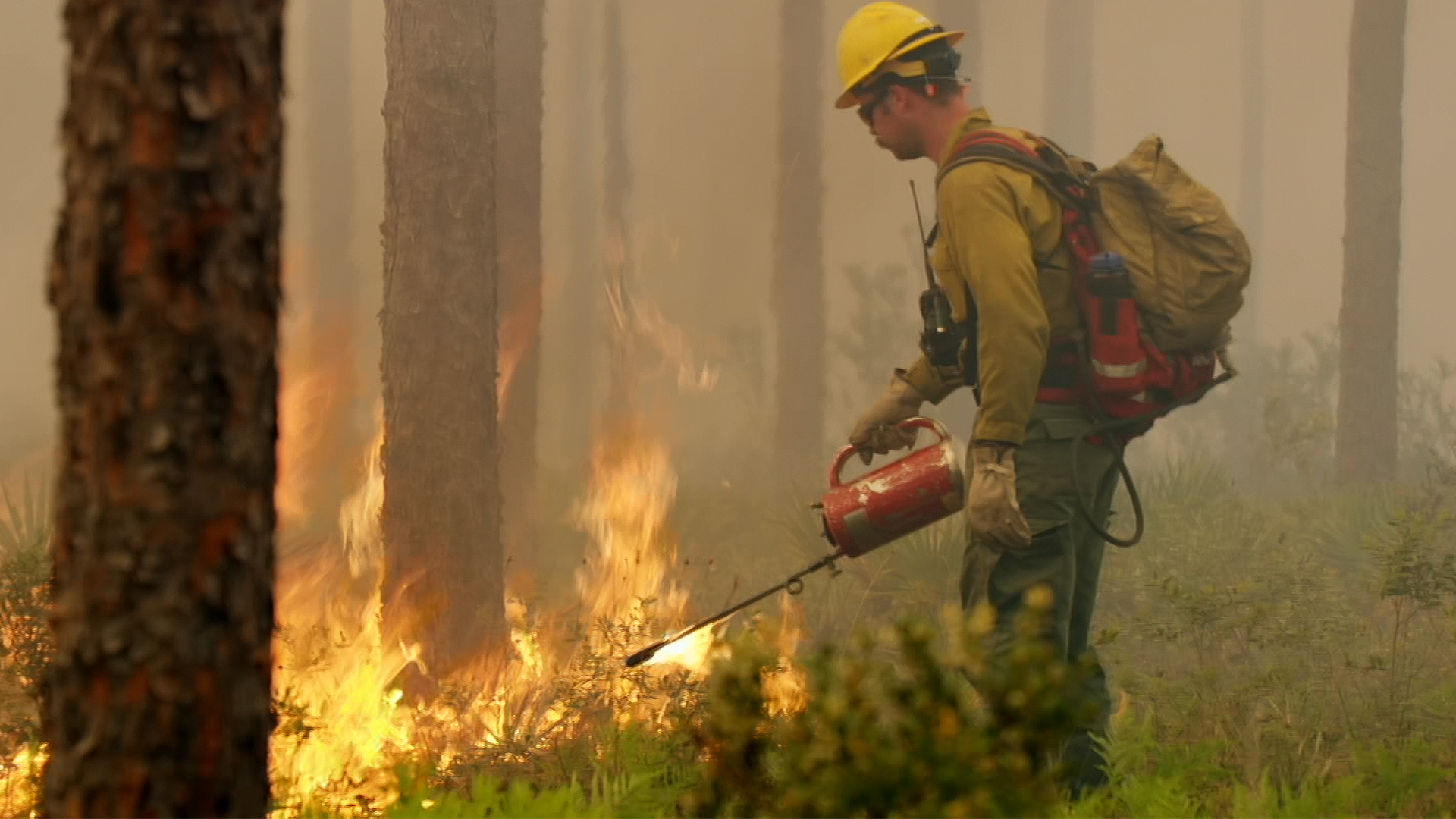 How Florida Firefighters Fight Wildfires with Fire