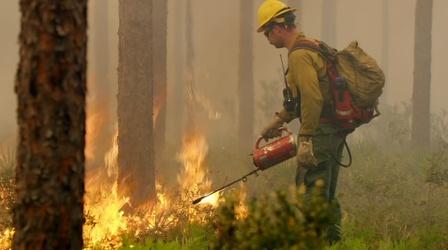 Video thumbnail: Nature How Florida Firefighters Fight Wildfires with Fire