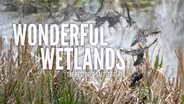 Wonderful Wetlands: The Restored Saltese Flats