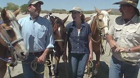 Video thumbnail: Wild Nevada Episode 111: Silver Springs to Lovelock