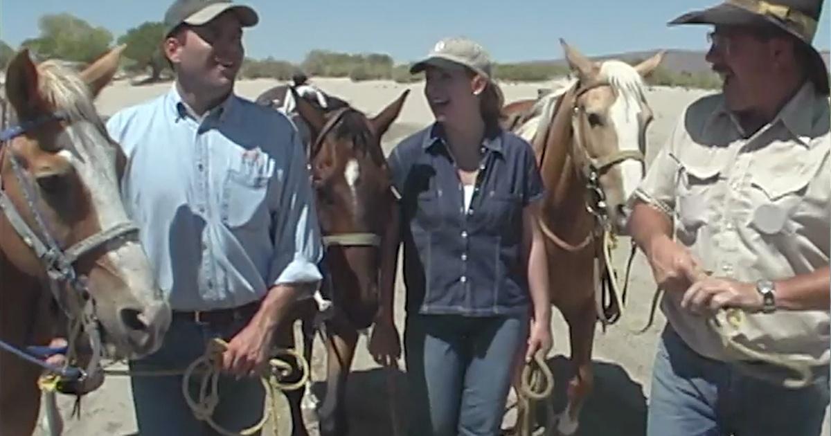 Wild Nevada Season 1 Episode 111 Silver Springs to Lovelock PBS Reno