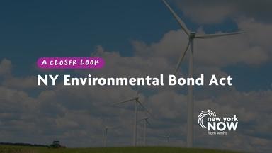 Exploring the Environmental Bond Act on the Ballot