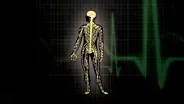 D4K: Nervous System Video Short