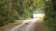 Wabash Trace Nature Trail