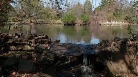 Video thumbnail: State of the Arts Olmsted's Last Great Park: Cadwalader
