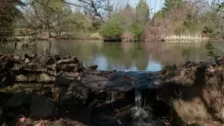 Olmsted's Last Great Park: Cadwalader