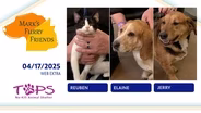 04/10/2025 | Reuben, Elaine and Jerry | Mark’s Furry Friends Extra