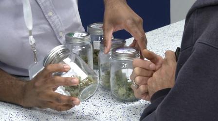 Video thumbnail: NJTV News Marijuana groups launch campaigns to reach voters