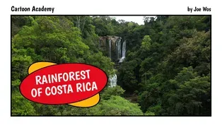 Rainforest of Costa Rica