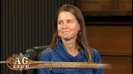 Video thumbnail: Montana Ag Live Bees: the Key to Our Future? (No. 4710)