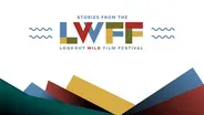 Stories from the Lookout Wild Film Festival