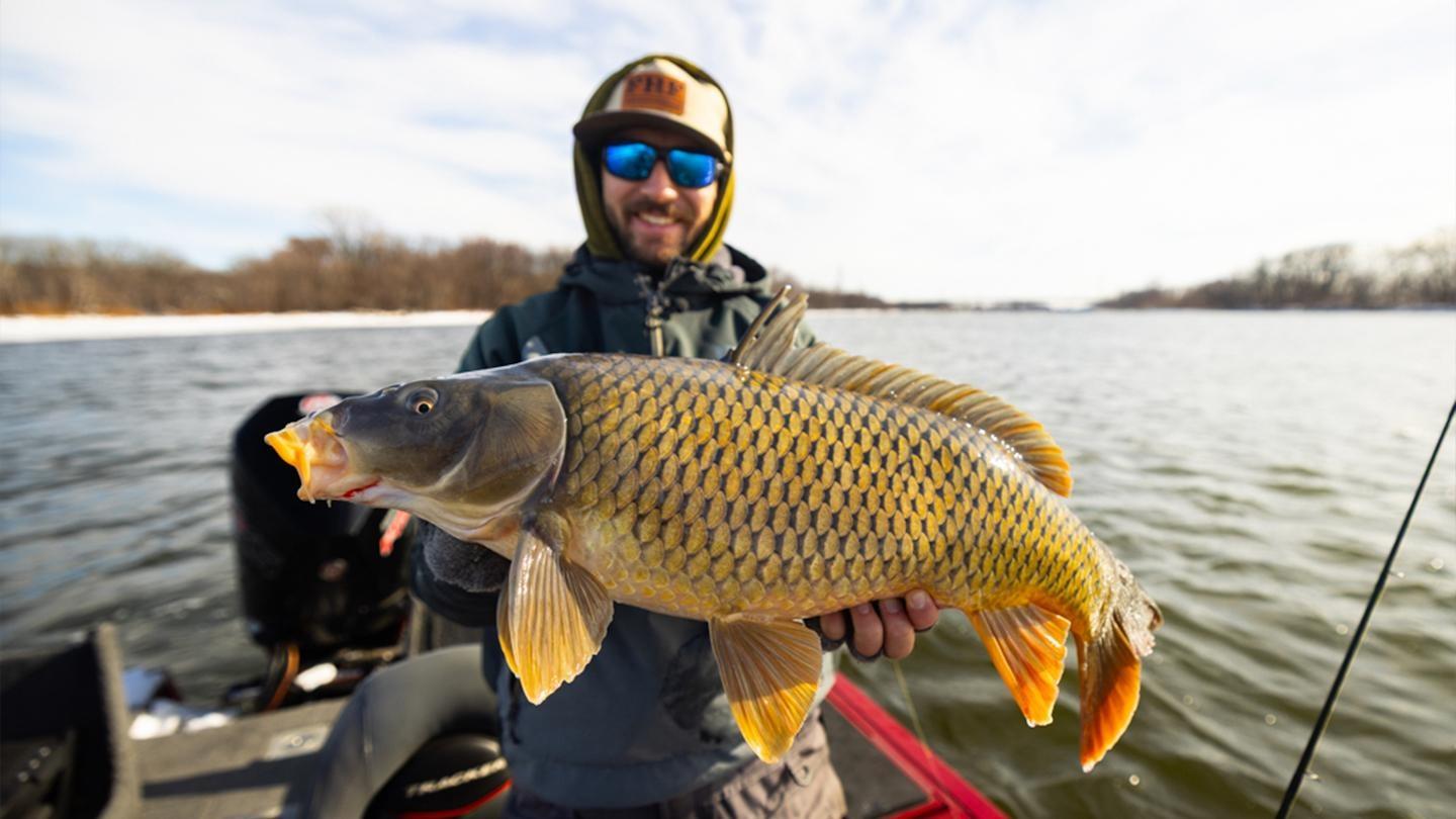 Mississippi River midwinter fishing; the St. Anthony Falls Laboratory; and the Beefsteak Fungus.