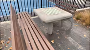 NEW PARTS OF THE NEIGHBORHOOD