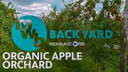 Organic Apple Orchard