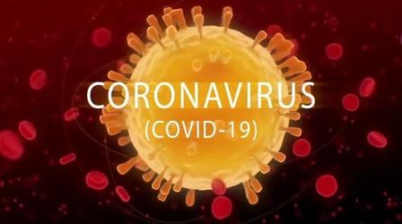 Video thumbnail: WNIT Specials Covid 19 - Where do we go from here?