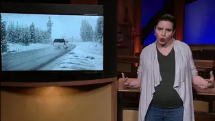 Kate Gibson Essay | A Mom in Winter