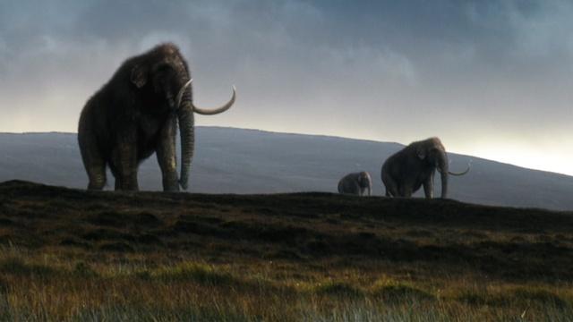 NOVA | Great Mammoth Mystery