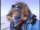 Arctic Cats: Antarctica Explorers
