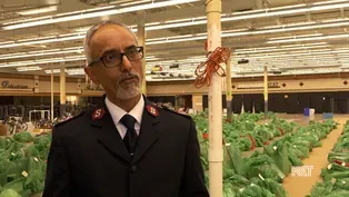 One-Stop Holiday Shop for Families in Need