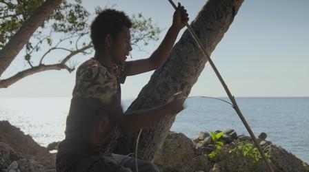 In Vanuatu the Islanders Depend on Fishing to Survive