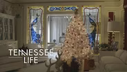 Tennessee Life - 811 - A Blue Christmas