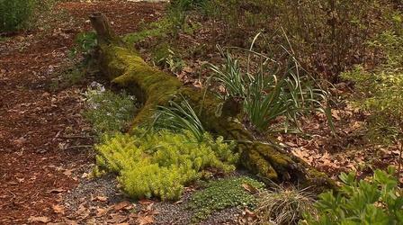 Video thumbnail: Volunteer Gardener Volunteer Gardener 2640