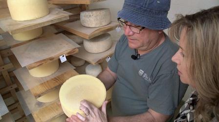 Video thumbnail: Flavor NC Sheep Milk & Cheese